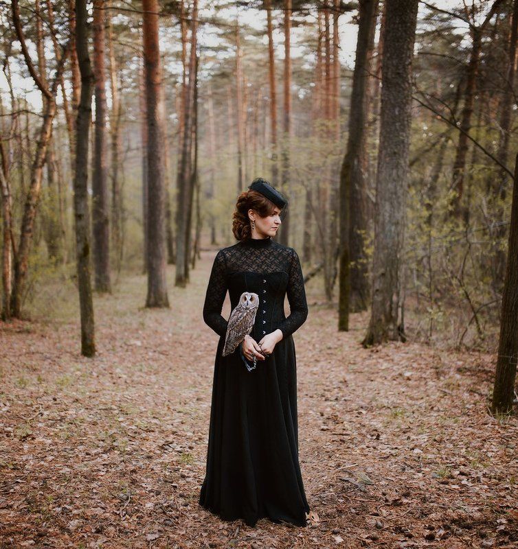 сова, 19 век Одна история с совойphoto preview