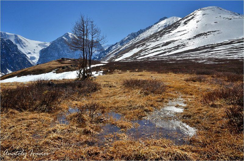 Актру, Горный алтай, Северо-чуйский хребет Вешние водыphoto preview