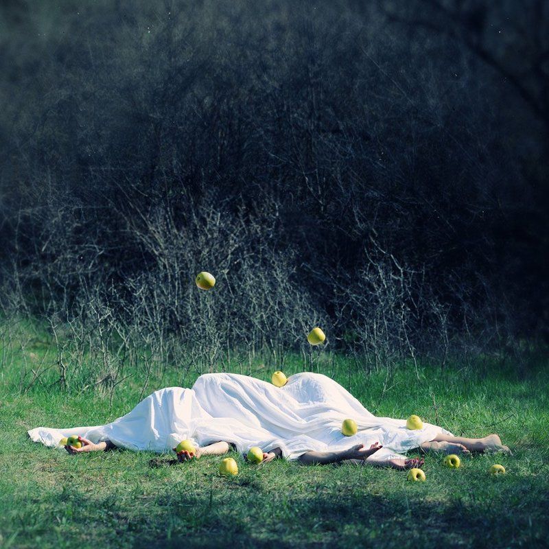 Яблокиphoto preview