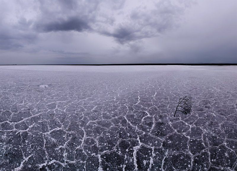 весна, озеро, пейзаж, природа, эльтон Соли Эльтонаphoto preview