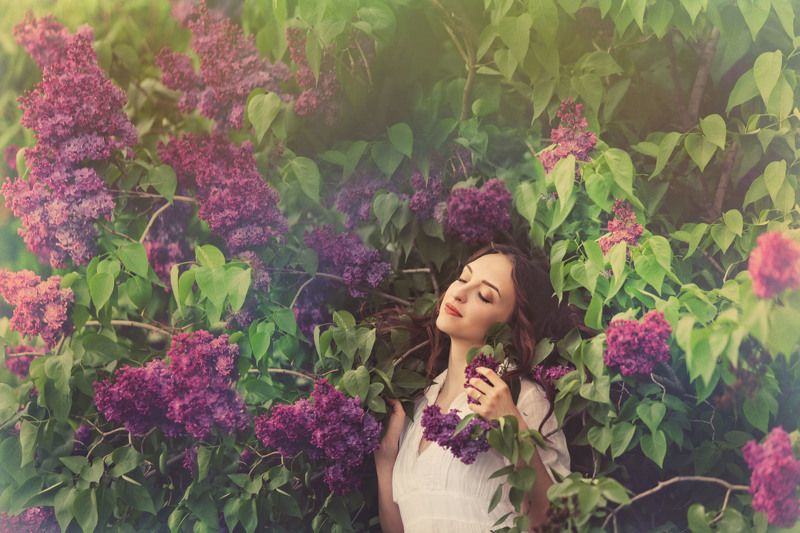 сиреневые грезы photo preview