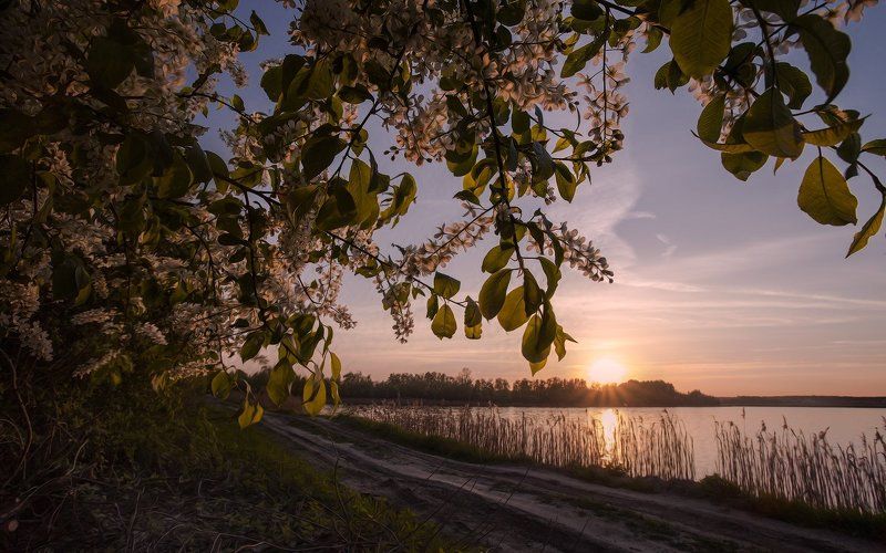 Купавна. Весенняя прогулка Что так сердце растревожено?...photo preview