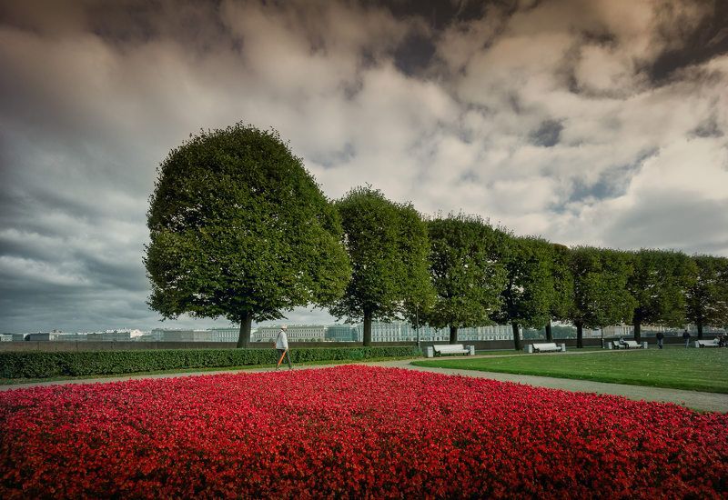 петербург ***photo preview