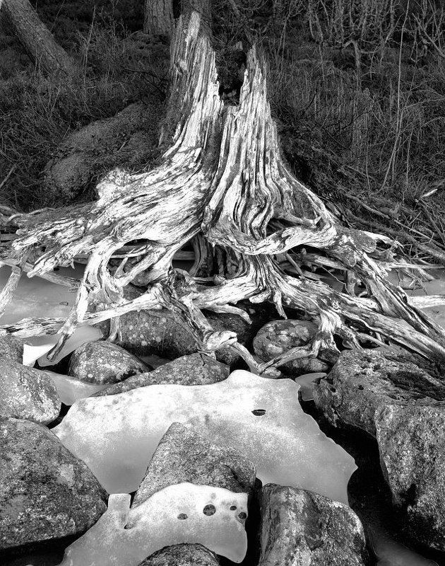 Стражphoto preview