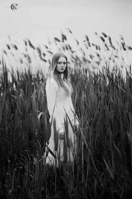 Тростникphoto preview