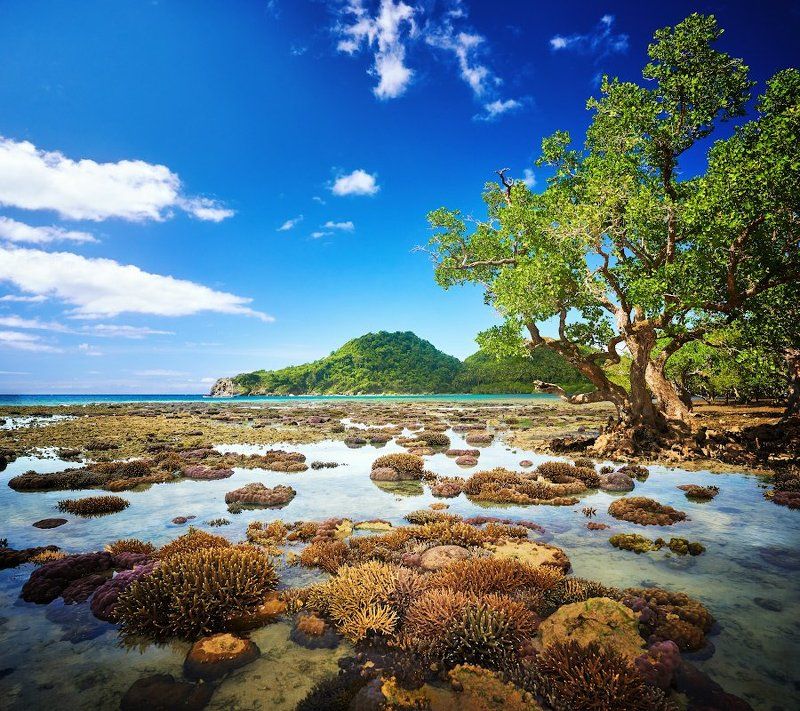 Отливphoto preview