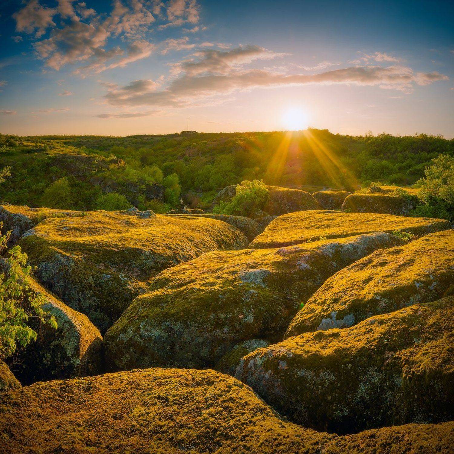 , Виталий Башкатов