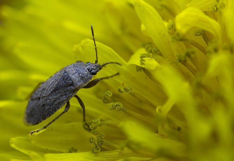 Солнечный денёкphoto preview