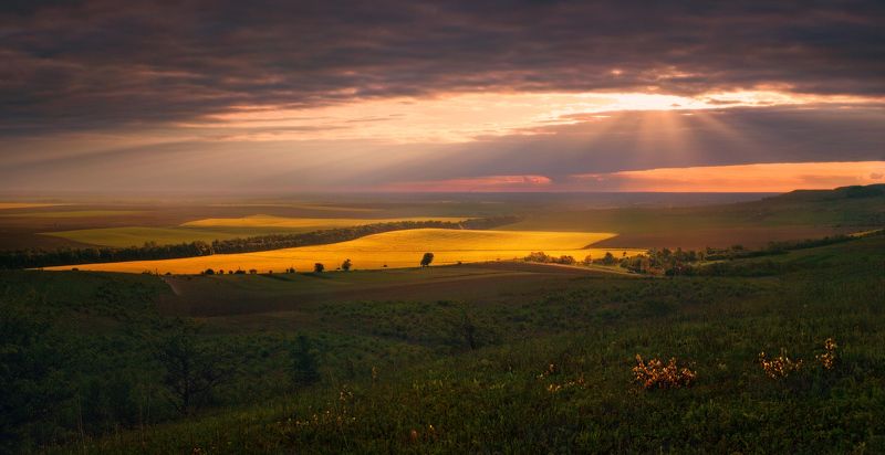 весна, вечер, май, поле, рапс, свет И разверзлись небесаphoto preview