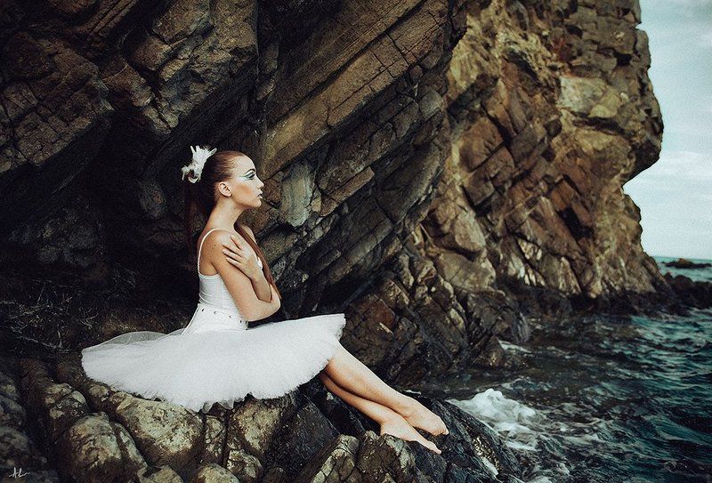 Лебедь, Портрет Лебедьphoto preview