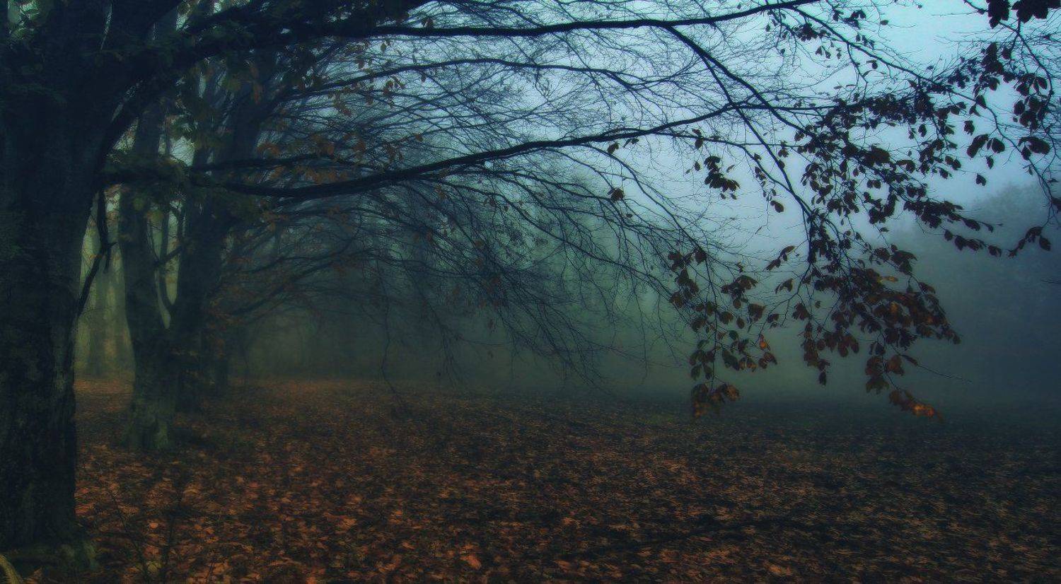 , Михаил  Пилипенко