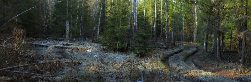 Весеннее утроphoto preview