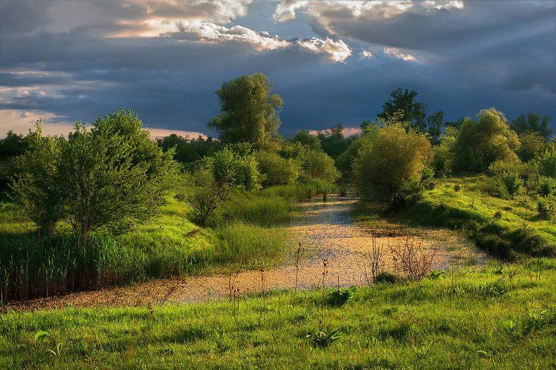 Старая речкаphoto preview