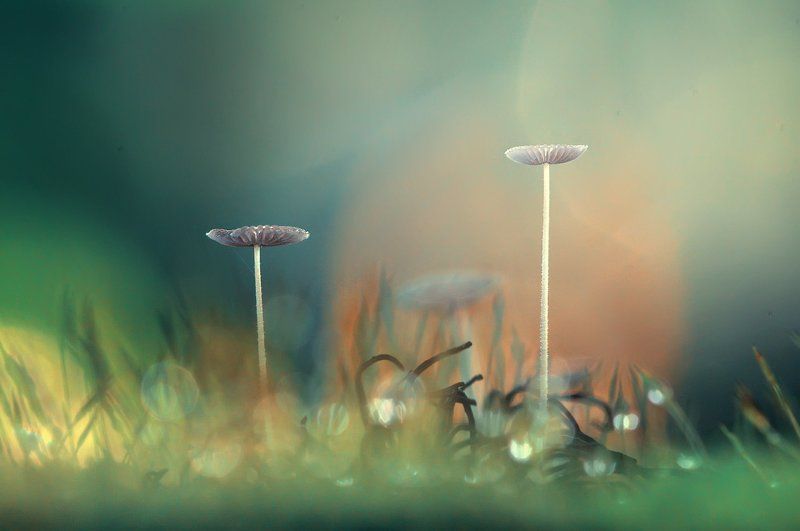 Wonderful Sunday morningphoto preview