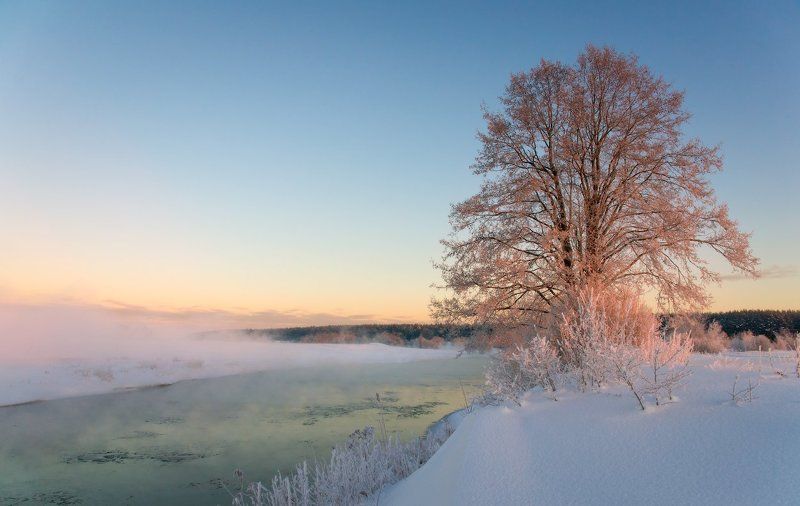 зима,мороз,снег,лед,холод,клязьма,сони, sony До свидания, зимушка-зима!photo preview
