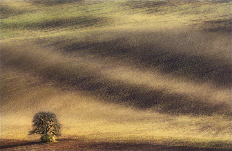 чехия, южная моравия, весна, czech, south moravian, / Весна в Южной Чехии /photo preview