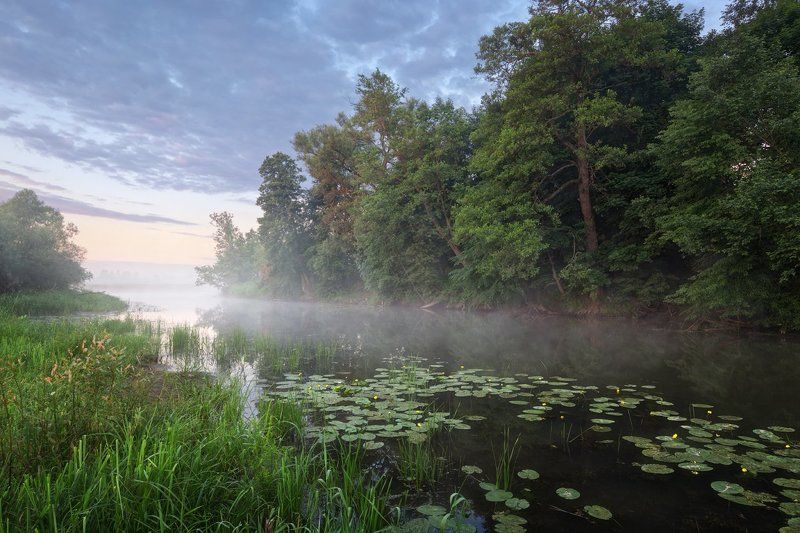 а скоро июнь!photo preview