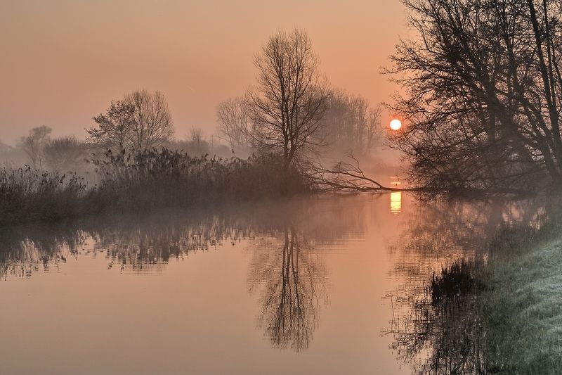 Golden morning.photo preview