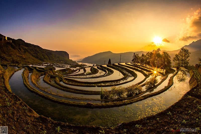 quanphoto, landscape, sunrise, dawn, morning, valley, terrace, clouds, reflections, farmland, agriculture, china Terraced Fields at Dawnphoto preview