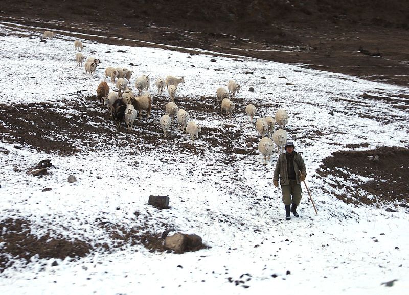 Ингушетия, Кавказ, фототур Свежие впечатления из Ингушетииphoto preview