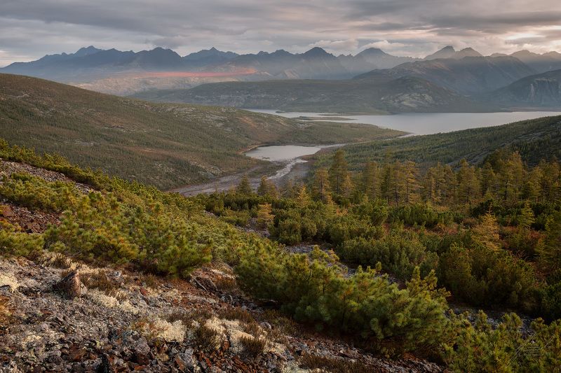 *** фото превью