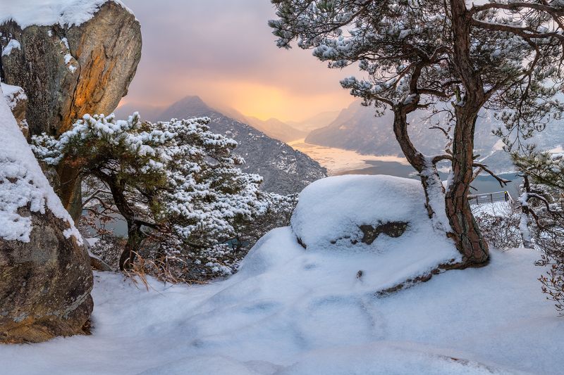 Winter, elements of lifephoto preview