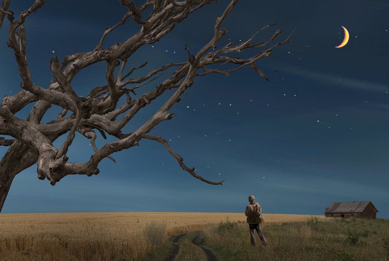 ночь,поле,звезды,луна,дерево,одиночество photo preview