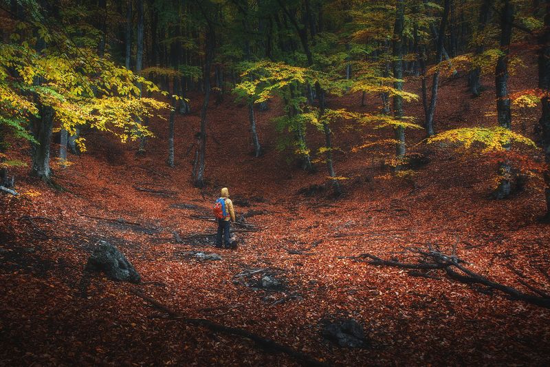 Осеньphoto preview