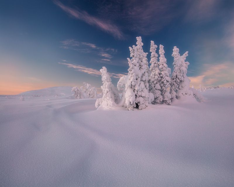 гух ***photo preview