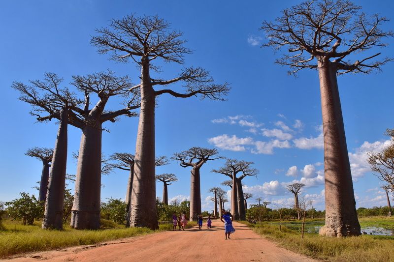 пейзаж, природа, путешествие Сфотографируй меня, если сможешьphoto preview