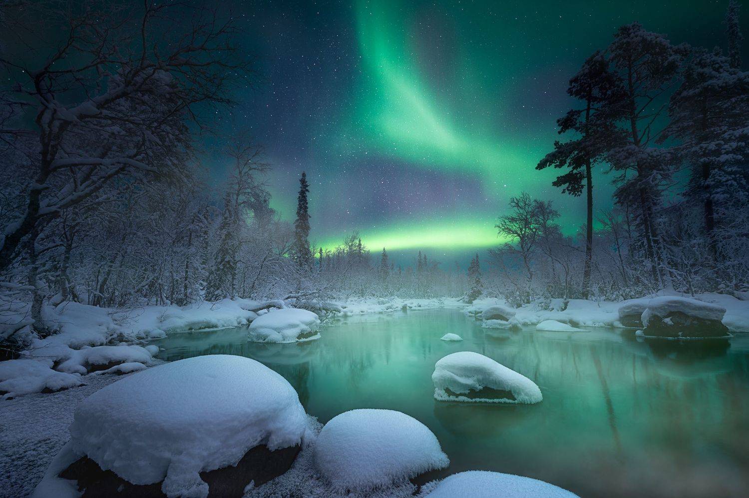 кольский полуостров, кольский, зима, winter, snow, kola peninsula, forest,  Aleksey R.