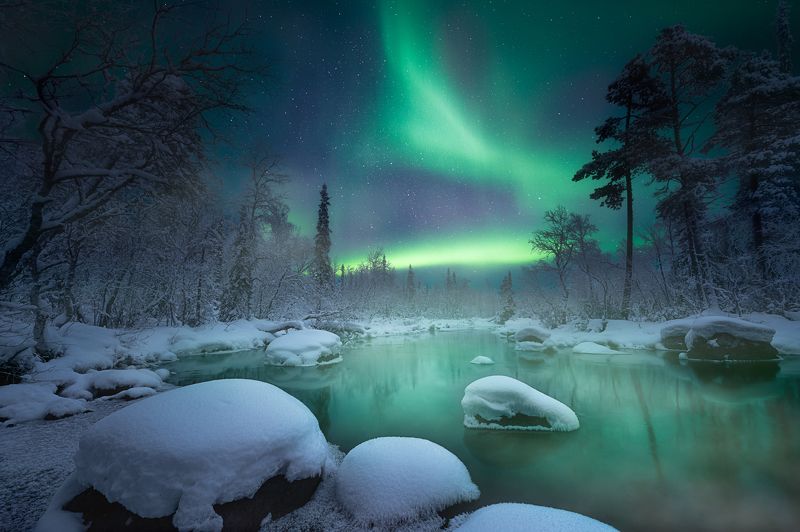 кольский полуостров, кольский, зима, winter, snow, kola peninsula, forest Spirits of winterphoto preview