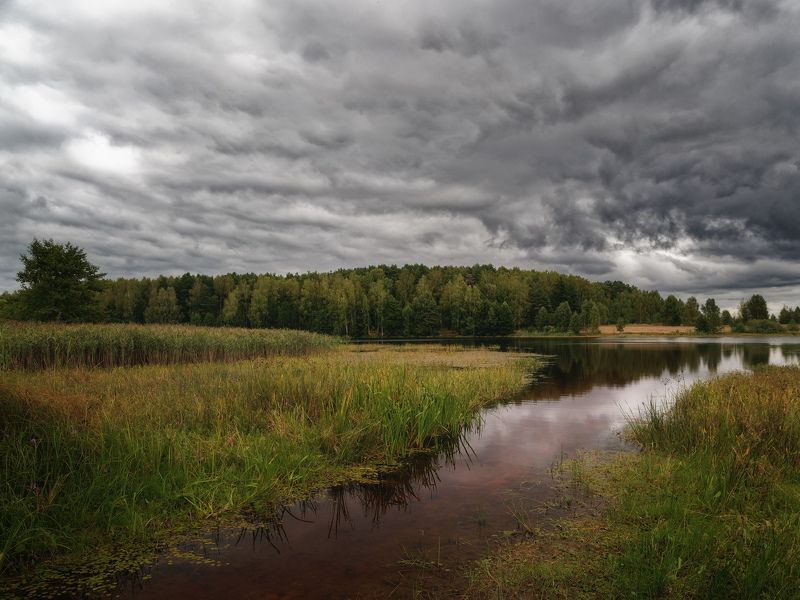 пасмурно, река, осень Пасмурноphoto preview
