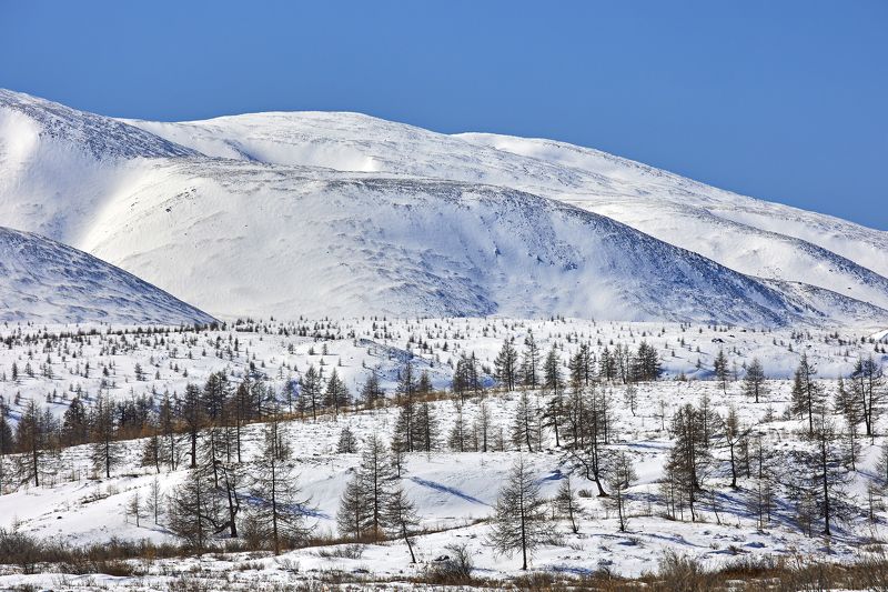На границе с Монголиейphoto preview