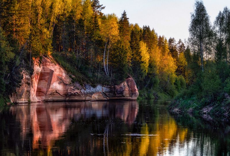 .......photo preview