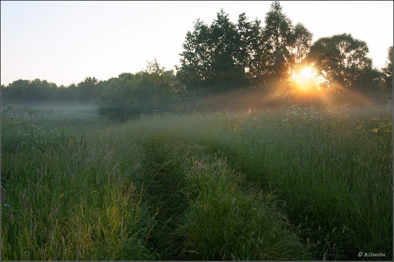 утро,рассвет,солнце,роса,июль Утро июляphoto preview