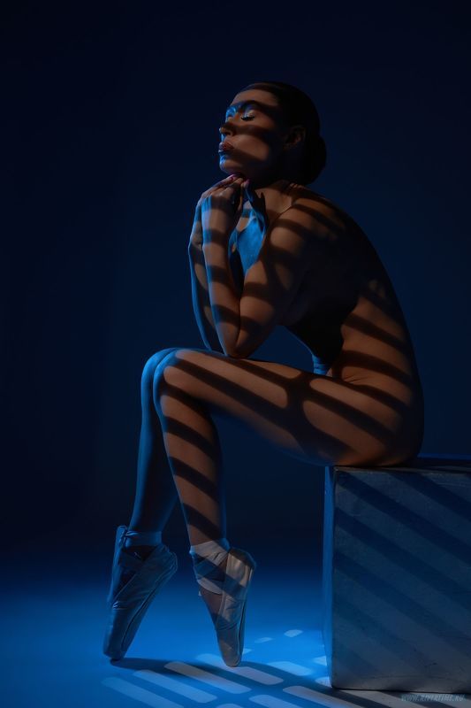 woman; naked; ballerina; eyes closed; touch chin; feminine; allure; grace; ballet; shadow; dreamy; sensual; nude; female; young; dark hair; fit; pointe; figure; sexy; model; gorgeous; dancer; shape; body; erotic; lady; light; sexual; topless; perfect; tip Side view of dreamy alluring fit ballerina in pointe shoes  фото превью