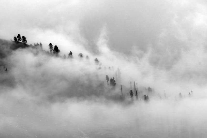 landscape blackandwhite beauty nature  Poetry of the Earthphoto preview