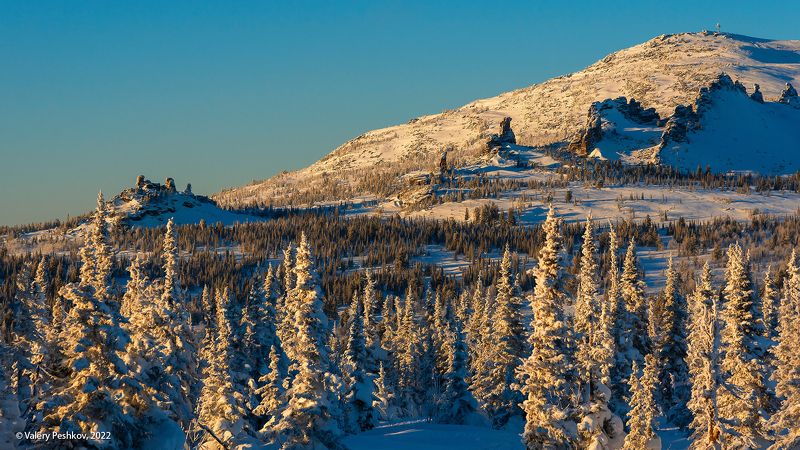 верблюды, скалы-останцы, гора курган, кедры, пихты, снег, шерегеш, горная шория, сибирь Pro Верблюды фото превью