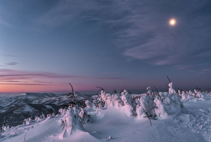 O świciephoto preview