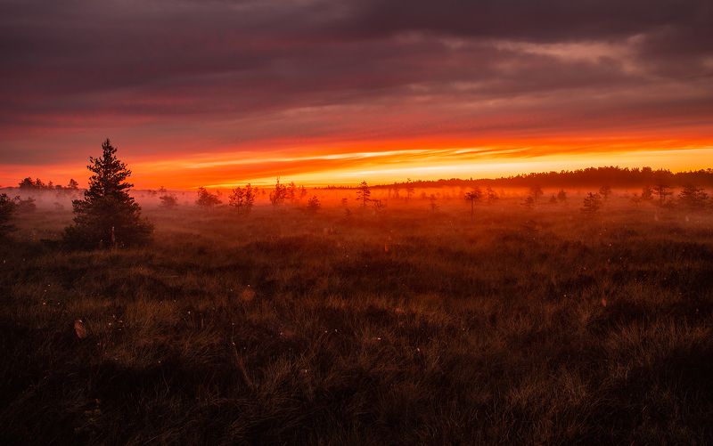 .......photo preview