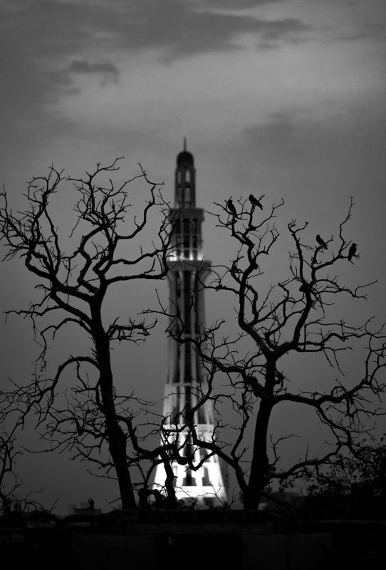 blackandwhite white color grey black birds evening  a maze of unlighted passagesphoto preview