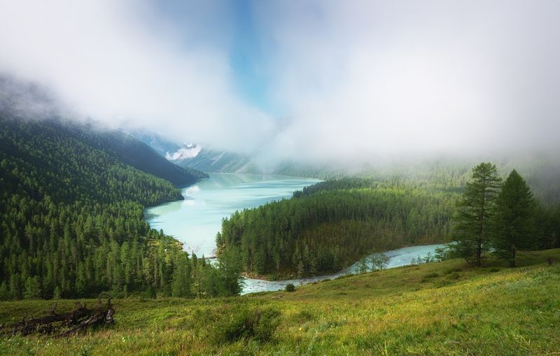 Алтайские зарисовкиphoto preview