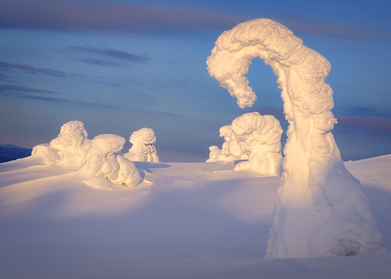 заполярье, зимний пейзаж, кольский, рассвет, fujifilm Силуэты... / Silhouettes...photo preview