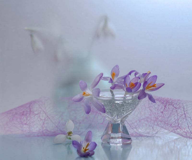 натюрморт,цветы,этюд,вазы,стекло,лепестки,фиолетовый,крокусы,подснежники,весна,февраль, Весна в февралеphoto preview