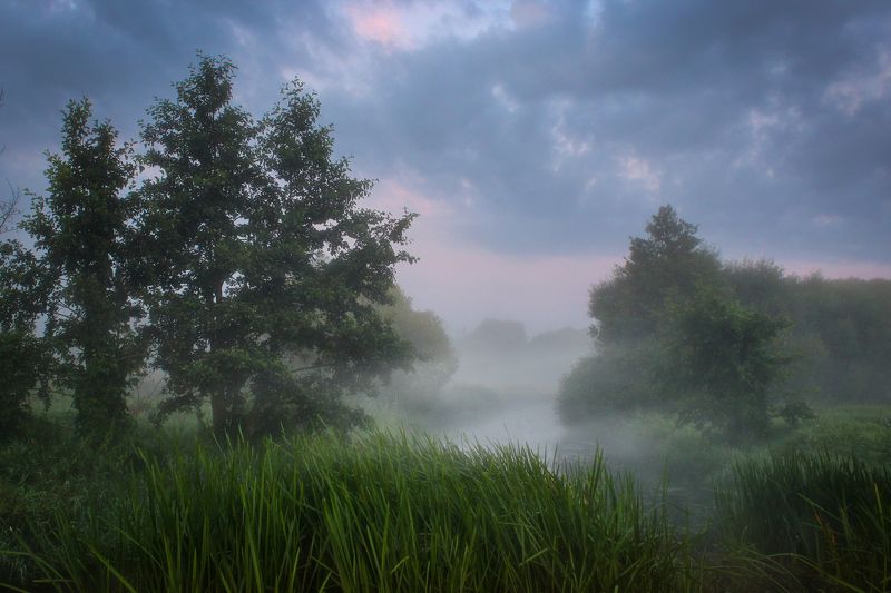 ********photo preview