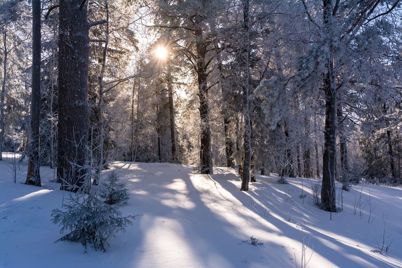 *******photo preview