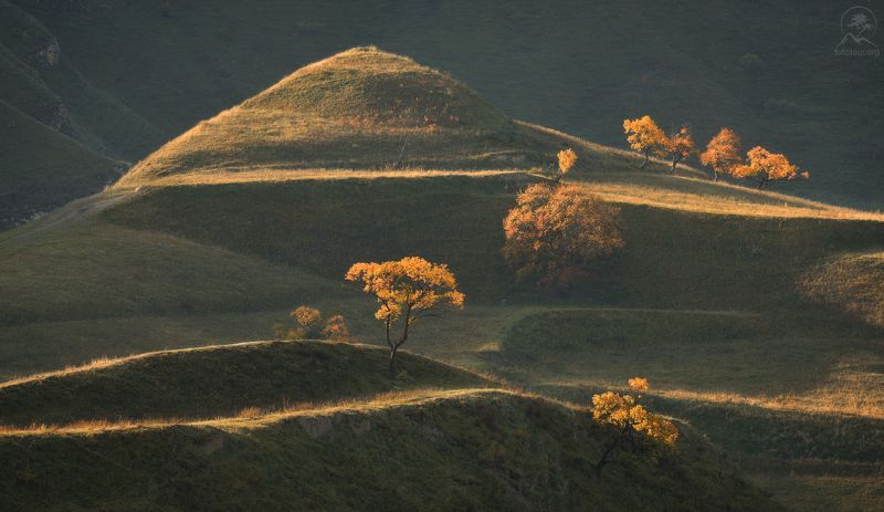дагестан, террасы, чох, фототур в дагестан, кавказ, фототур на майские праздники, деревья, холмы Жизнь на склонахphoto preview