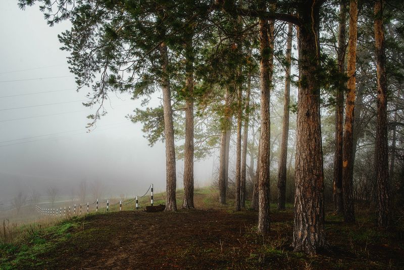 Утренний туман уходит тихонько туда, куда ему надо…photo preview