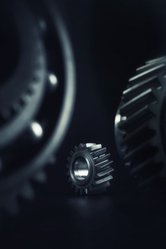 pavelskvortsov Свой среди своихphoto preview